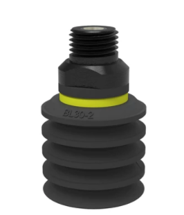 0101497ɁPSuction cup BL30-2 Chloroprene, 1/4NPT male, with mesh filter-ɁPɁӲyP